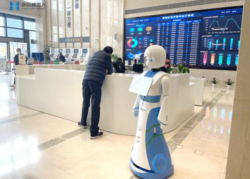 小遠上崗 嘉興秀洲政務服務中心的互聯網信息服務新篇章